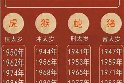 1982是什么年|1982年是什么年